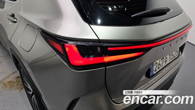 Lexus NX350h (II) Luxury 2025 — фото 29