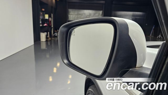 Renault Korea QM6 1.7 dCi RE 2WD 2020 — фото 31