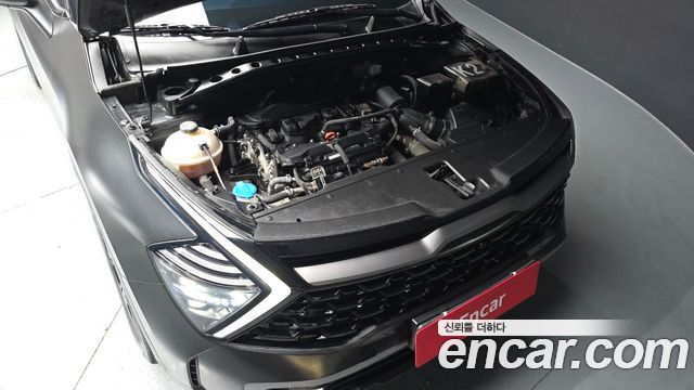 Kia Sportage (V) Gasoline 1.6 Turbo 4WD Nobleless Gravity 2023 — фото 6