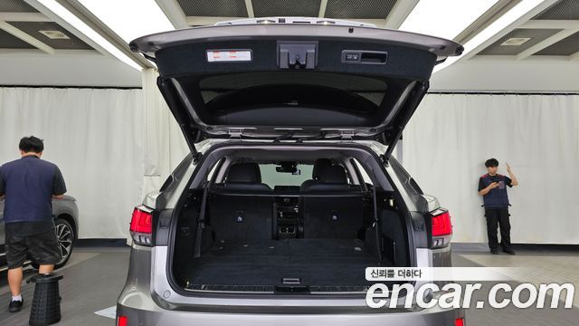Lexus RX450hL (IV) Executive 2020 — фото 24