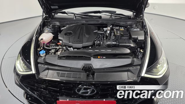 Hyundai Sonata (DN8) 2.0 Premium Plus 2023 — фото 6