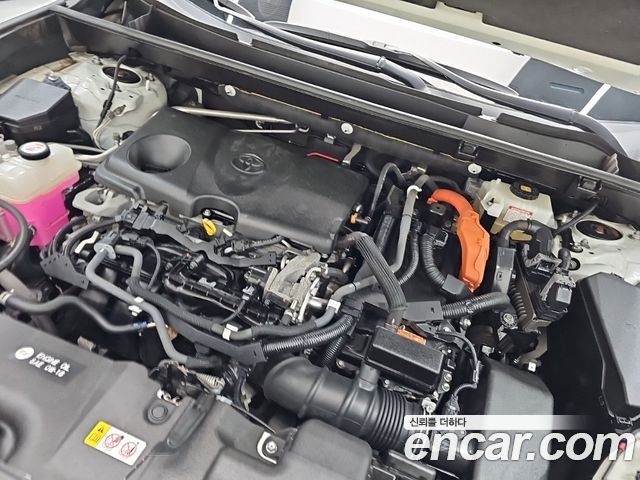Toyota RAV4 (V) 2,5 4WD Hybrid LTD 2019 — фото 6