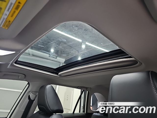 Toyota RAV4 (V) 2,5 4WD Hybrid LTD 2019 — фото 17
