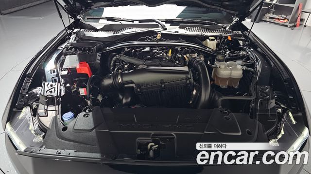 Ford Mustang (VII) 2.3 EcoBoost Premium Coupe 2024 — фото 6