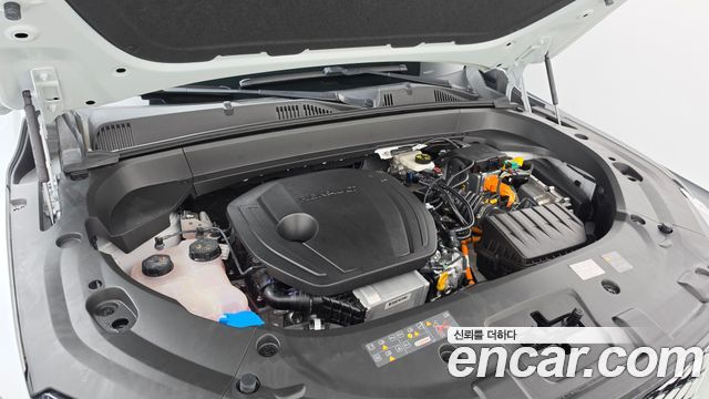Renault Korea Grand Koleos 1.5 E-TECH Iconic 2WD 2025 — фото 6