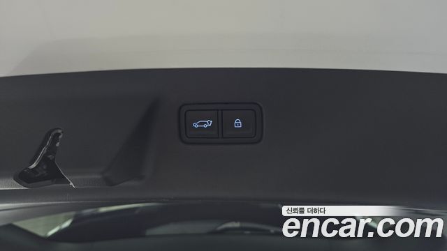 Hyundai Santa Fe (MX5) HEV 1.6 4WD Calligraphy 2024 — фото 34