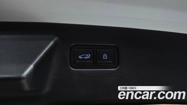 Hyundai Santa Fe (MX5) HEV 1.6 4WD Calligraphy 2024 — фото 19