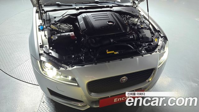 Jaguar XF (X260) 20d Prestige AWD 2017 — фото 6