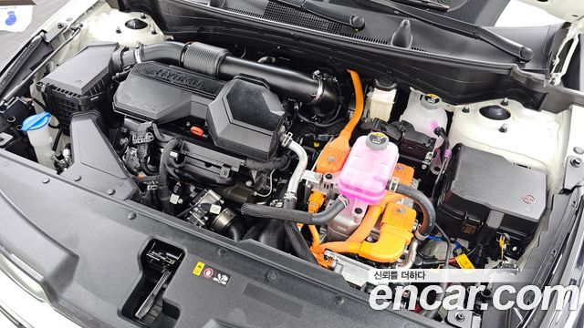 Kia Sportage Hybrid (V) HEV 1.6 2WD Signature 2025 — фото 6