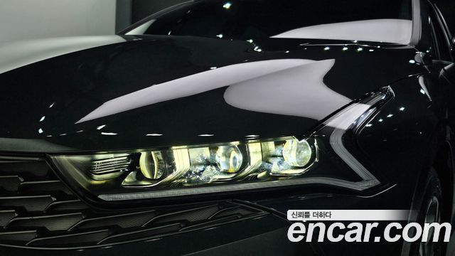 Kia K5 (III) 2.0 Noblesse 2022 — фото 22