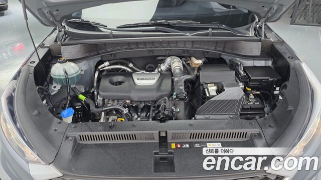 Hyundai Tucson Gasoline 1.6 turbo 2WD Modern 2019 — фото 6