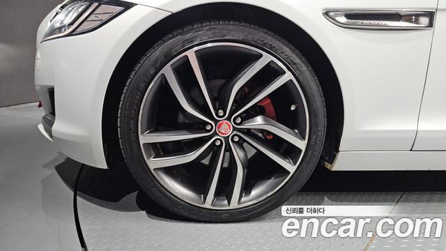 Jaguar XF (X260) 20d Portfolio AWD 2017 — фото 5