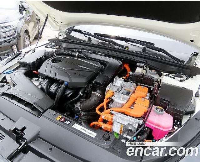 Kia K5 Hybrid (III) Noblesse 2024 — фото 6