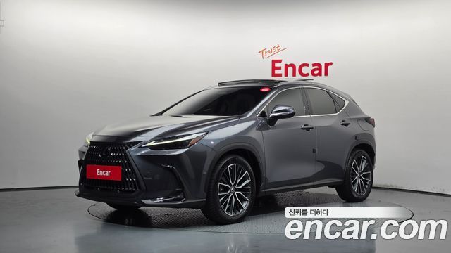 Lexus NX350h (II) Luxury