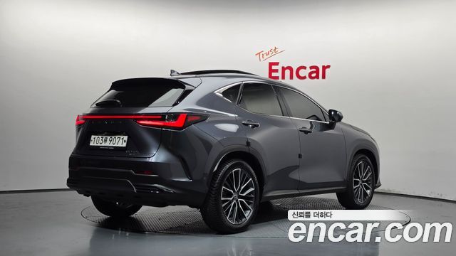 Lexus NX350h (II) Luxury 2023 — фото 2