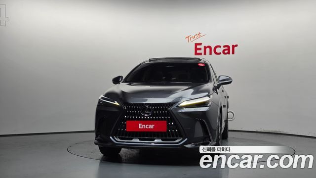 Lexus NX350h (II) Luxury 2023 — фото 3