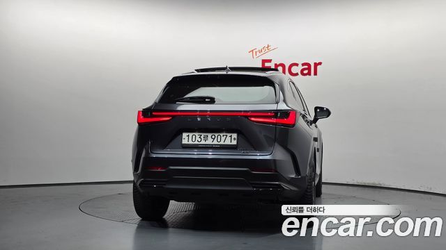 Lexus NX350h (II) Luxury 2023 — фото 4