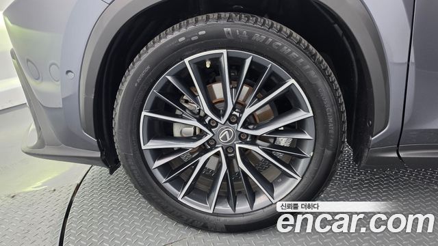 Lexus NX350h (II) Luxury 2023 — фото 5