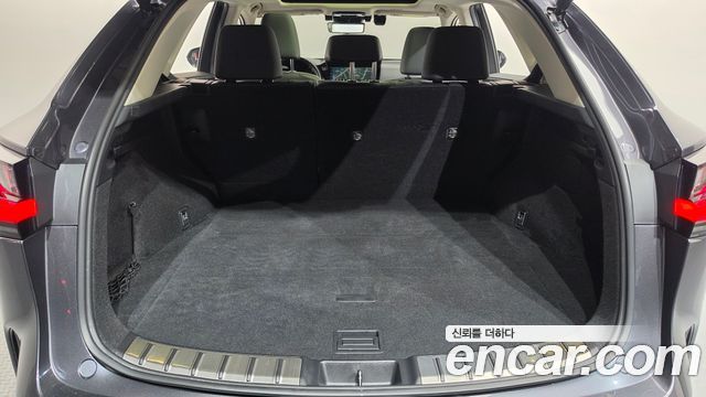 Lexus NX350h (II) Luxury 2023 — фото 18