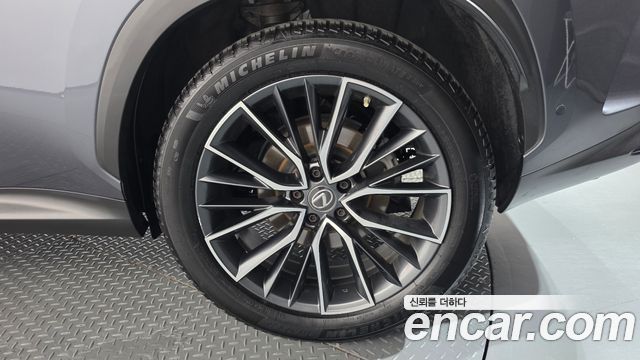 Lexus NX350h (II) Luxury 2023 — фото 21