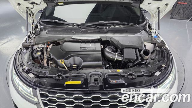 Land Rover Range Rover Evoque (II) P250 SE 2021 — фото 6