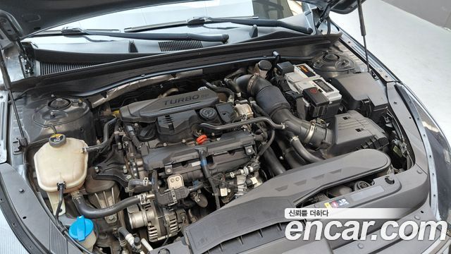 Kia K5 (III) 1.6 Turbo Noblesse 2021 — фото 6