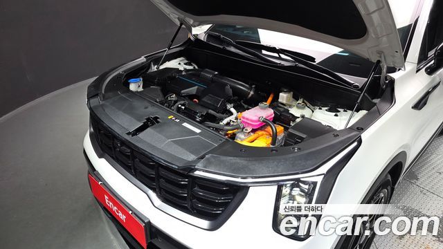 Kia Sorento (IV) HEV 1.6 2WD Gravity 2024 — фото 6