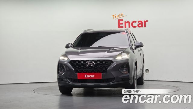 Hyundai Santa Fe (TM) Diesel 2.0 2WD Exclusive 2019 — фото 3