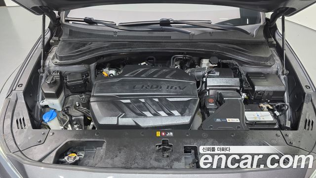 Hyundai Santa Fe (TM) Diesel 2.0 2WD Exclusive 2019 — фото 6