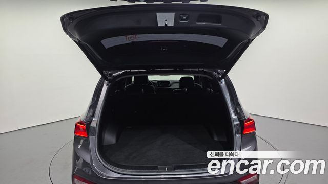 Hyundai Santa Fe (TM) Diesel 2.0 2WD Exclusive 2019 — фото 29