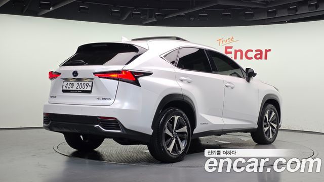 Lexus NX300h Supreme 2019 — фото 2