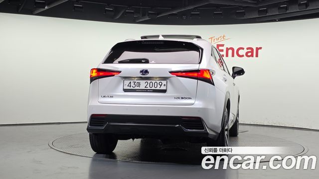 Lexus NX300h Supreme 2019 — фото 4