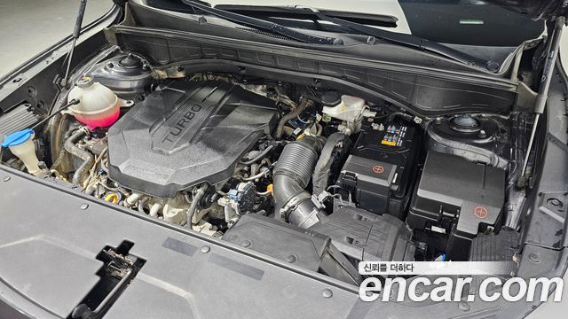 Kia Sorento (IV) Diesel 2.2 2WD Noblesse 2023 — фото 6