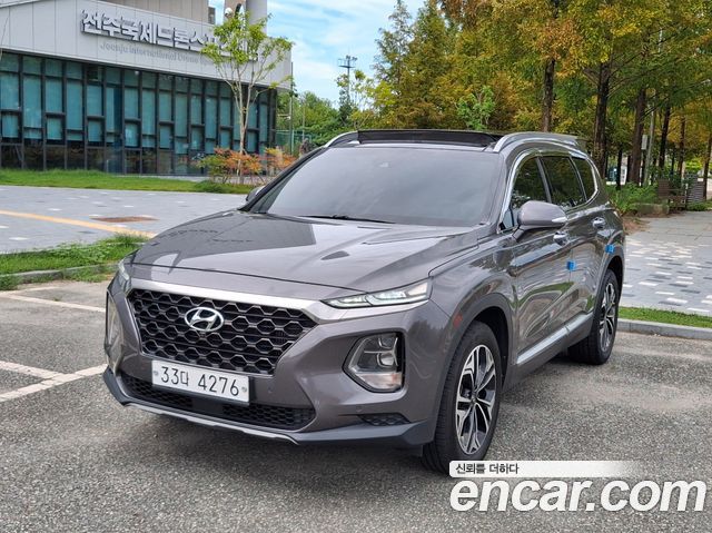 Hyundai Santa Fe (TM) Diesel 2.0 2WD Exclusive Special 2019 — фото 3