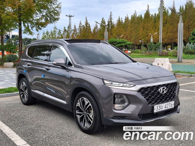 Hyundai Santa Fe (TM) Diesel 2.0 2WD Exclusive Special 2019 — фото 4