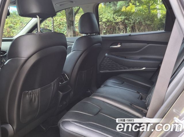 Hyundai Santa Fe (TM) Diesel 2.0 2WD Exclusive Special 2019 — фото 15