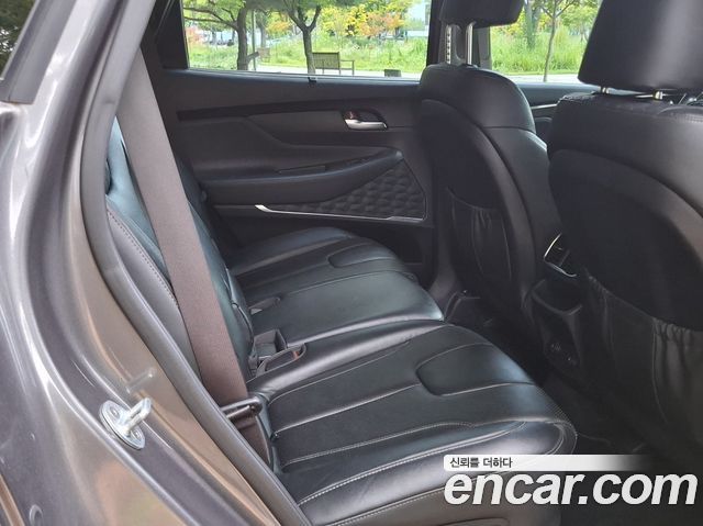 Hyundai Santa Fe (TM) Diesel 2.0 2WD Exclusive Special 2019 — фото 16
