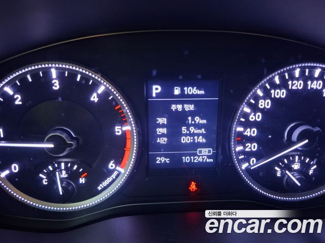 Hyundai Santa Fe (TM) Diesel 2.0 2WD Exclusive Special 2019 — фото 17