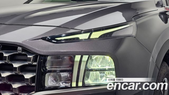 Hyundai Santa Fe Diesel 2.2 2WD Exclusive 2022 — фото 22