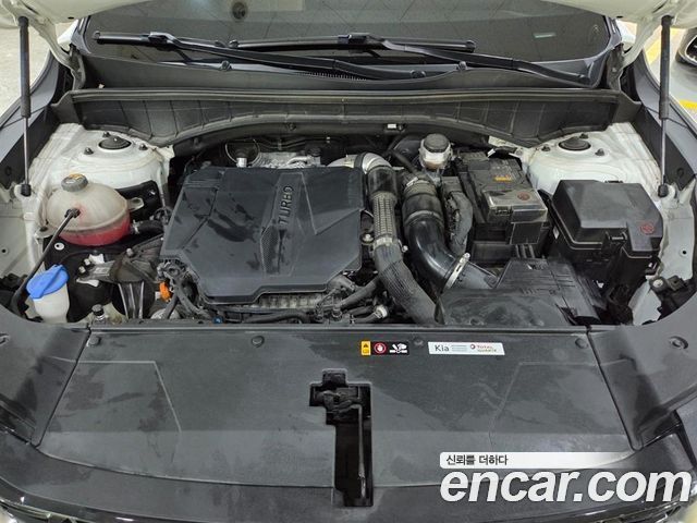 Kia Sorento (IV) Gasoline 2.5T 4WD Noblesse 2024 — фото 22