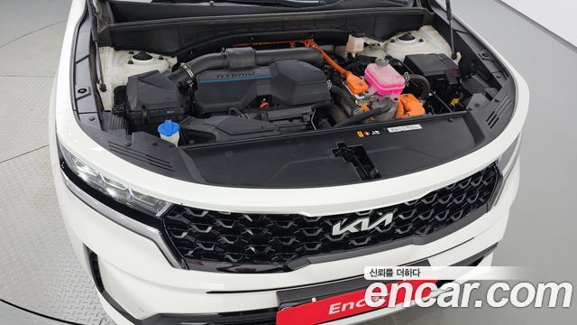 Kia Sorento (IV) HEV 1.6 2WD Prestige 2023 — фото 6