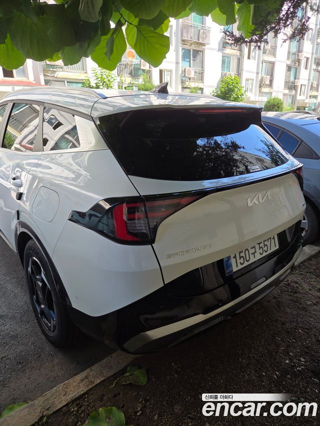 Kia Sportage Hybrid (V) HEV 1.6 2WD Signature 2025 — фото 2