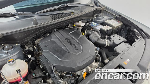 Kia Sportage (V) Diesel 2.0 2WD Nobleless 2022 — фото 6