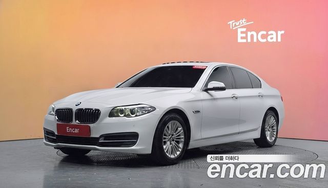BMW 5 Series (F10) 520d