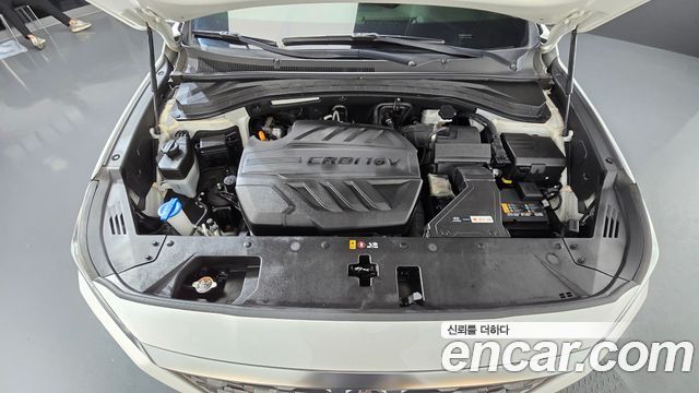 Hyundai Santa Fe (TM) Diesel 2.0 2WD Exclusive 2020 — фото 6