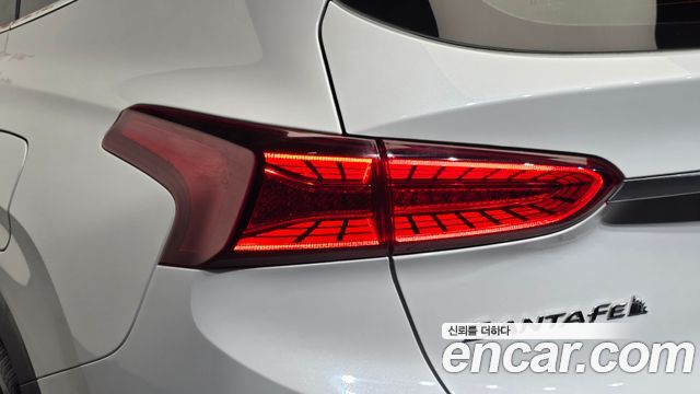 Hyundai Santa Fe (TM) Diesel 2.0 2WD Exclusive 2020 — фото 23