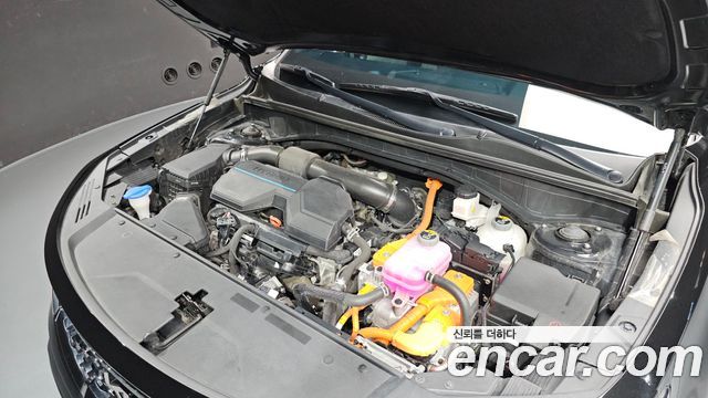 Kia Sorento (IV) HEV 1.6 2WD Noblesse 2023 — фото 6