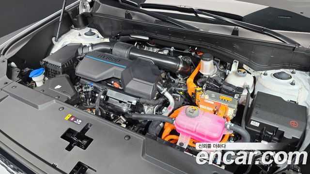 Hyundai Santa Fe (MX5) HEV 1.6 2WD Calligraphy 2024 — фото 6