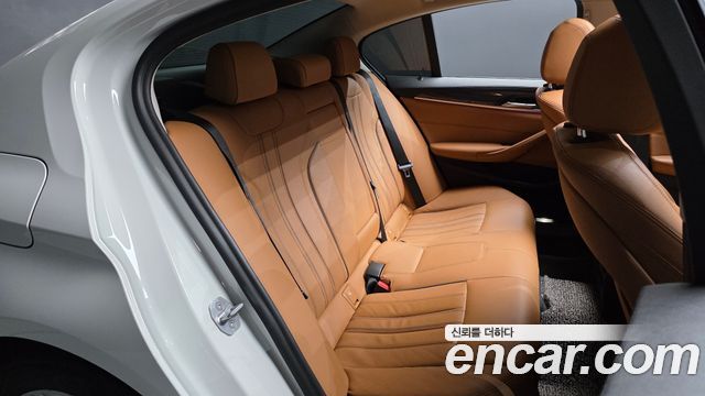 BMW 5 Series (G30) 520i Luxury 2020 — фото 11