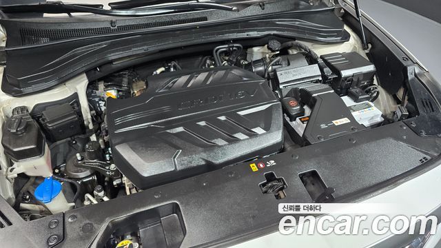Hyundai Santa Fe (TM) Diesel 2.0 2WD Prestige 2020 — фото 6